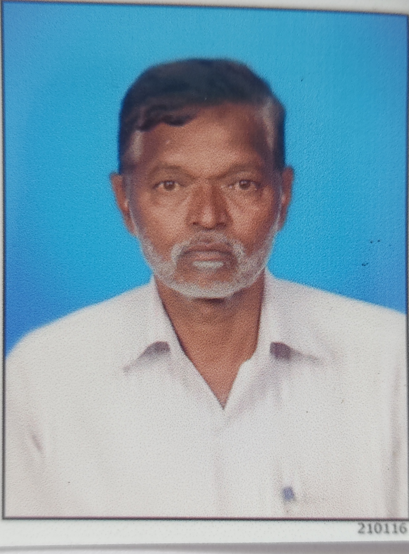 सदस्य