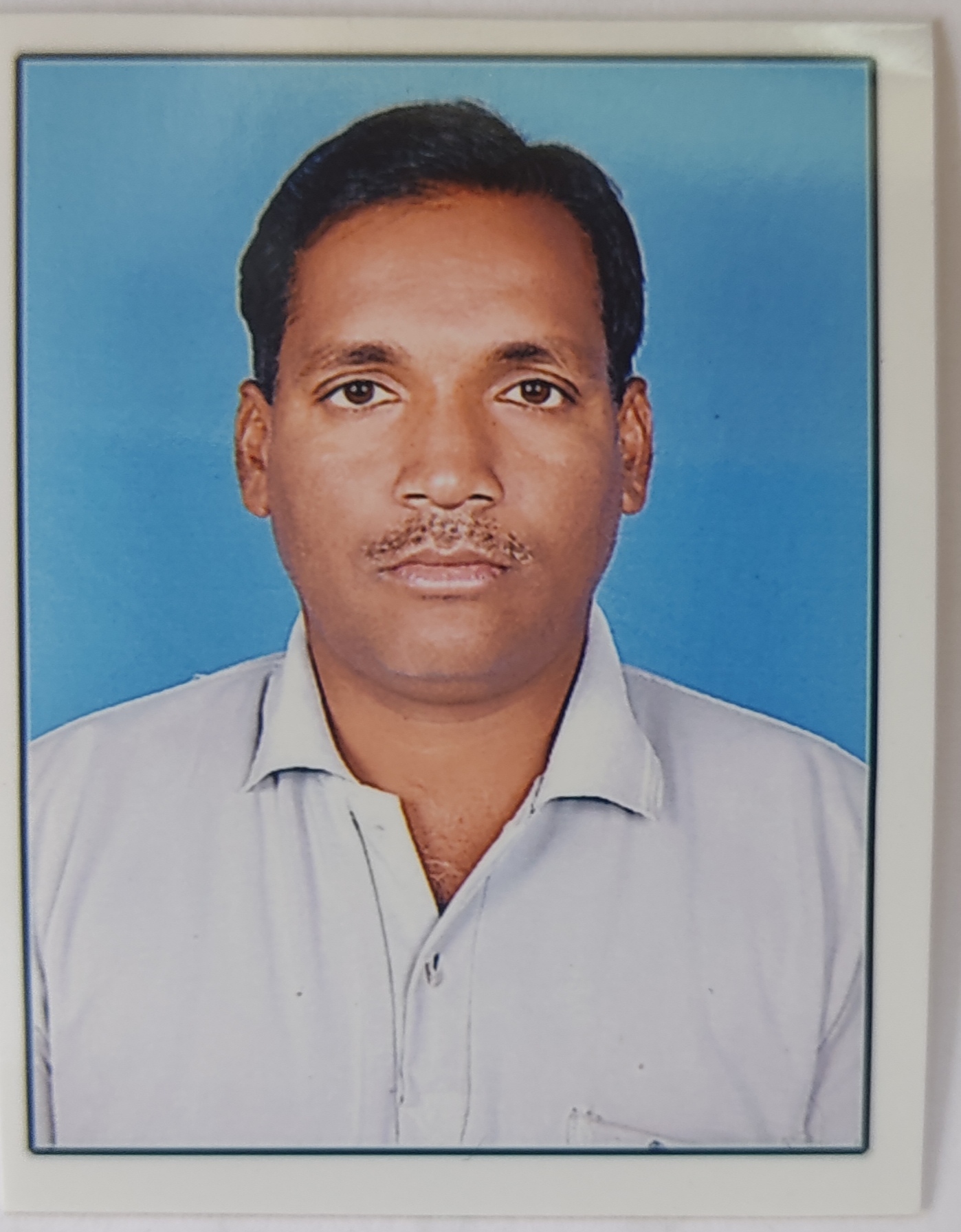 सदस्य